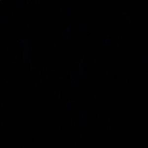 For trade with Vanessa